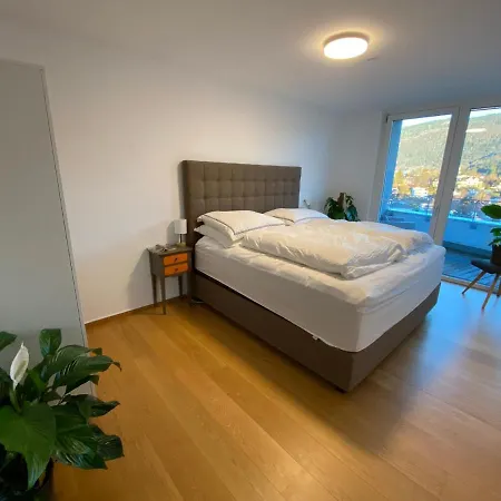 Apartamento Luxus Penthouse Feldmoos Mit Whirlpool & Riesen Terrasse, Nahe Festspiele