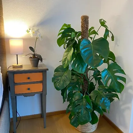 Luxus Penthouse Feldmoos Mit Whirlpool & Riesen Terrasse, Nahe Festspiele Apartamento